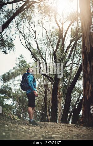 Le sommet est toujours plus proche que vous ne le pensez. Photo en longueur d'un homme d'âge moyen à la recherche d'un arbre tout en randonnée dans les montagnes. Banque D'Images
