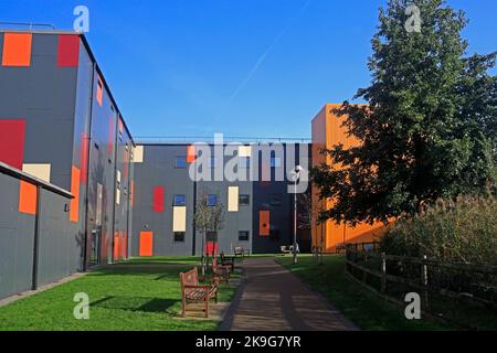 Architecture intéressante à l'hôpital universitaire du pays de Galles, Heath Park, Cardiff, octobre 2022. Automne. cym Banque D'Images
