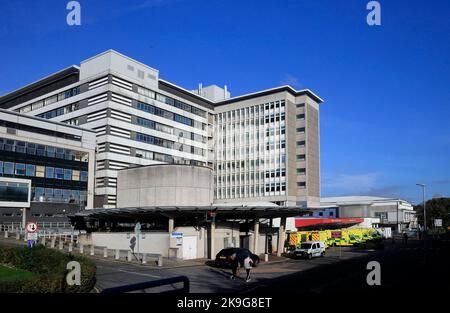 Hôpital universitaire du pays de Galles, Heath, Cardiff. Octobre 2022. Automne. Banque D'Images