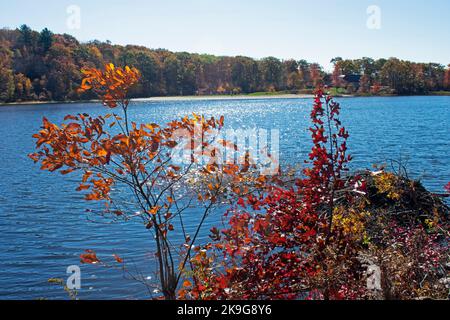 Le lac Marcia du parc national de High point du New Jersey, lors d'une journée d'automne ensoleillée, entouré d'une végétation luxuriante -05 Banque D'Images