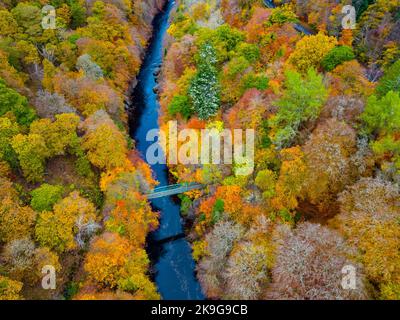 Killiecrankie, Écosse, Royaume-Uni. 28th octobre 2022. Vue aérienne des couleurs spectaculaires de la fin de l'automne dans les arbres au bord de la rivière Garry près de Killiecrankie à Perth et Kinross. Iain Masterton/Alay Live News Banque D'Images