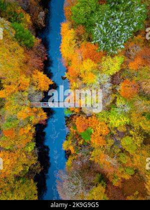 Killiecrankie, Écosse, Royaume-Uni. 28th octobre 2022. Vue aérienne des couleurs spectaculaires de la fin de l'automne dans les arbres au bord de la rivière Garry près de Killiecrankie à Perth et Kinross. Iain Masterton/Alay Live News Banque D'Images