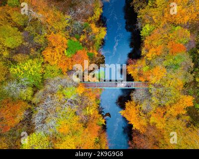 Killiecrankie, Écosse, Royaume-Uni. 28th octobre 2022. Vue aérienne des couleurs spectaculaires de la fin de l'automne dans les arbres au bord de la rivière Garry près de Killiecrankie à Perth et Kinross. Iain Masterton/Alay Live News Banque D'Images