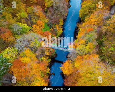 Killiecrankie, Écosse, Royaume-Uni. 28th octobre 2022. Vue aérienne des couleurs spectaculaires de la fin de l'automne dans les arbres au bord de la rivière Garry près de Killiecrankie à Perth et Kinross. Iain Masterton/Alay Live News Banque D'Images