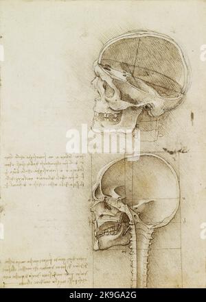 Titre: Un crâne sectionné Créateur: Leonardo da Vinci Date: 1489 AD Dimensions: 18.8x13.4 cms Moyen: Stylo et encre sur craie noire sur papier emplacement: Collection Royale Banque D'Images