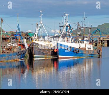 Les chasseurs s'amarraient les uns aux autres à Campbeltown, en Écosse Banque D'Images