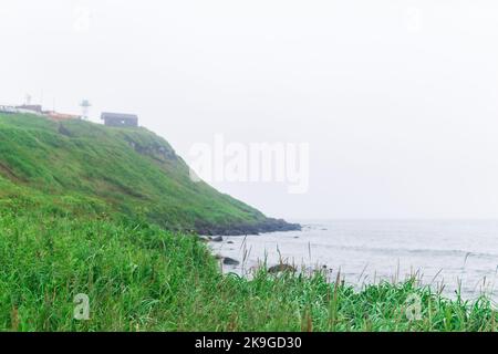 paysage de bord de mer flou, mise au point sur l'herbe proche Banque D'Images