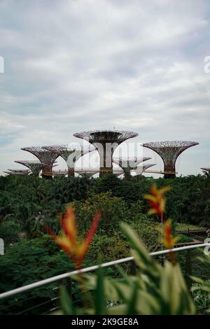 Une vue magnifique sur les jardins près de la baie depuis la jungle Banque D'Images