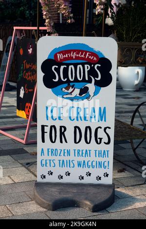 Panneau glace pour chiens, Stratford-upon-Avon, Warwickshire, Royaume-Uni Banque D'Images