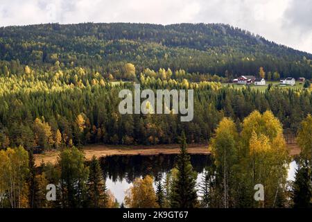 Une ferme traditionnelle entourée de collines, de forêts de pins sur la côte du lac Kroderen en Norvège Banque D'Images