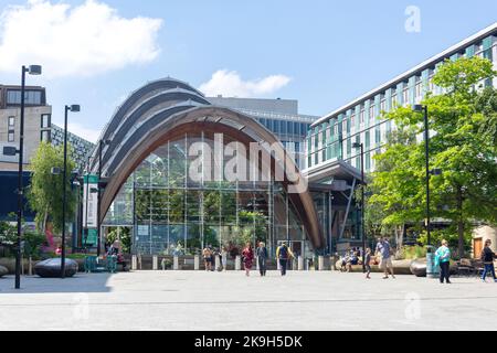 Sheffield Winter Gardens, Surrey Street, Sheffield, South Yorkshire, Angleterre, Royaume-Uni Banque D'Images