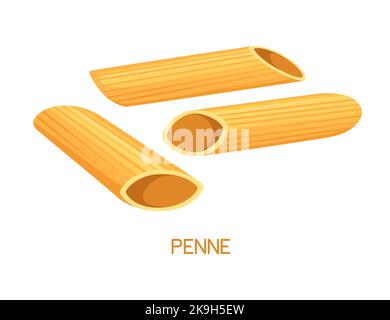 Pâtes italiennes non cuites cavatappi figure vectorielle isolée sur fond blanc Illustration de Vecteur