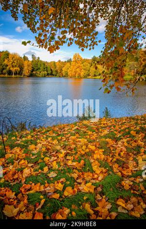 Le lac de Stourhead aux couleurs automnales du jaune, de l'or, de l'orange et du rouge à Stourton, Wiltshire, Royaume-Uni, le 28 octobre 2022 Banque D'Images