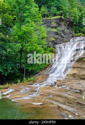 Enfield Falls se trouve sur Enfield Creek, dans le parc national Robert Treman, dans le comté de Tompkins, dans l'État de New York Banque D'Images