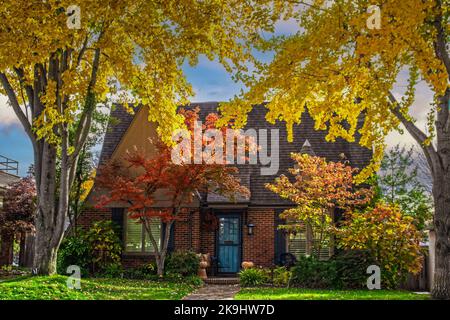 Mignonne maison en briques en automne avec deux grands ginko jaunes et des érables colorés - citrouilles sur le porche - ciel tôt le crépuscule avec un petit coin de soleil Banque D'Images