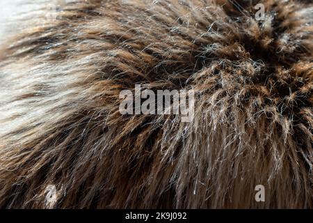 Fausse fourrure marron-gris avec long velours, gros plan Banque D'Images