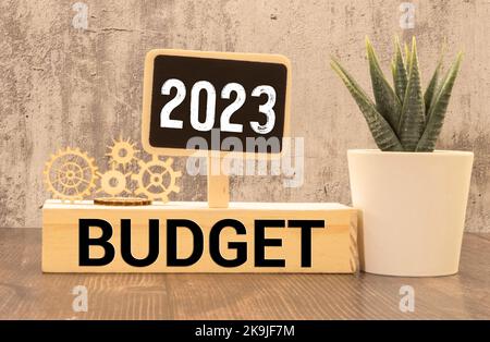 2023 concept de planification et d'allocation du budget. Cube en bois l'inscription BUDGET 2023 avec fond vert, espace copie. Utiliser pour la bannière et la présentation Banque D'Images