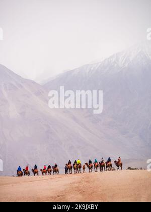 Hunder est un village dans le district de Leh de Ladakh, Inde célèbre pour les dunes de sable, chameaux de Bactrian. Les touristes adorent prendre aride sur des chameaux à double bosse. Banque D'Images