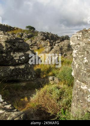 Rochers éparpillés sur un plateau herbeux dans la région de Kaapsche Hoop de Mpumalanga Afrique du Sud contre un ciel rempli de nuages de tempête gris Banque D'Images