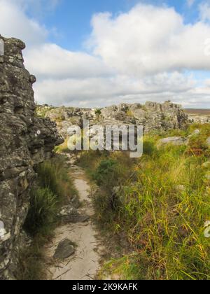 Sentier de randonnée traversant un labyrinthe de rochers de We Gray et d'intempéries éparpillés sur un plateau herbeux dans la région de Kaapsche Hoop en Afrique du Sud Banque D'Images