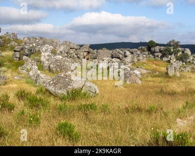 Rochers gris et altérés dispersés sur un plateau herbacé dans la région de Kaapsche Hoop de Mpumalanga en Afrique du Sud. Banque D'Images