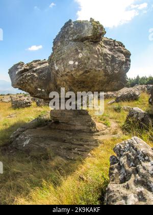 Une étrange formation de roche en forme de champignon dans les prairies d'Afromontane de Kaapsche Hoop, en Afrique du Sud, avec un marqueur de sentier de randonnée peint dessus. Banque D'Images