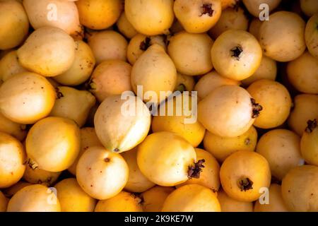 Texture d'arrière-plan de guavas entiers avec espace de copie Banque D'Images