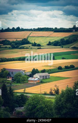The farm is situated among hills with arable fields. Beautiful agricultural landscape. Roztocze region, Poland Banque D'Images
