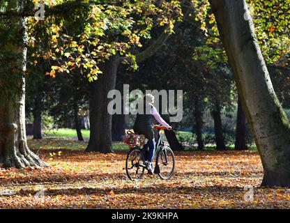 Berlin, Allemagne. 28th octobre 2022. Le 28 octobre 2022, une femme fait un vélo à travers un bois à Berlin, capitale de l'Allemagne. Crédit: REN Pengfei/Xinhua/Alay Live News Banque D'Images