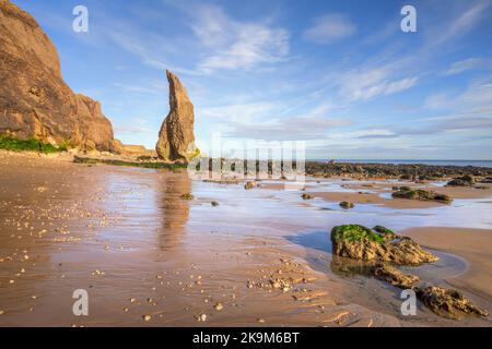 Rywhpe Beach, Tyne and Wear, Angleterre, Royaume-Uni Banque D'Images