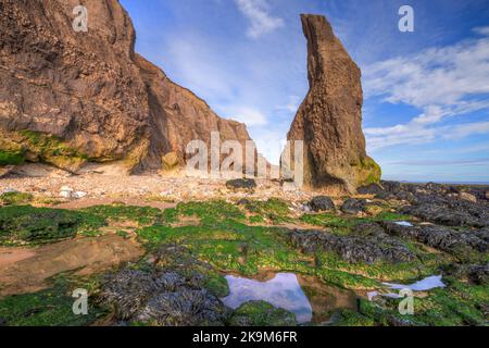 Rywhpe Beach, Tyne and Wear, Angleterre, Royaume-Uni Banque D'Images