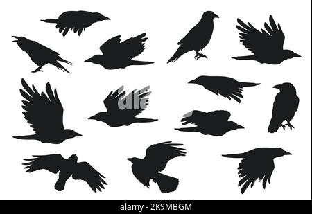 Silhouette du Nid-de-Corbeau Groupe de corbeaux volants avec des plumes beak claw, Creative noir gothic rook oiseaux pour la décoration d'Halloween. Ensemble vectoriel isolé Illustration de Vecteur