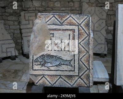 Fragment de mosaïque du sol du 4th siècle, avec une image de poisson, conservé dans les jardins de l'ancienne maison romaine; Basilique euphrasienne, Porec. Banque D'Images