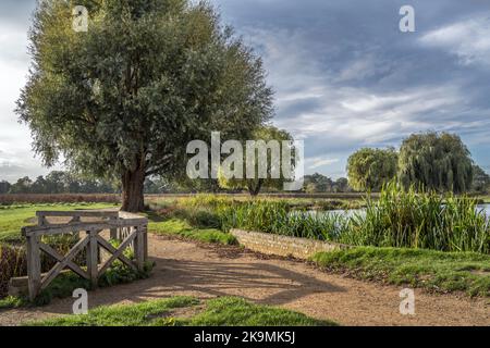 Promenade circulaire autour des étangs de Bushy Park dans Surrey, Angleterre Banque D'Images
