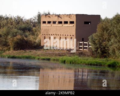 Réserve de terres humides d'Azraq, cachette d'oiseaux de boue, Jordanie, octobre 2022 Banque D'Images
