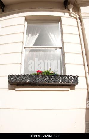 Window Box, Regency House, Brunswick place, Hove/Brighton, Sussex, ROYAUME-UNI Banque D'Images