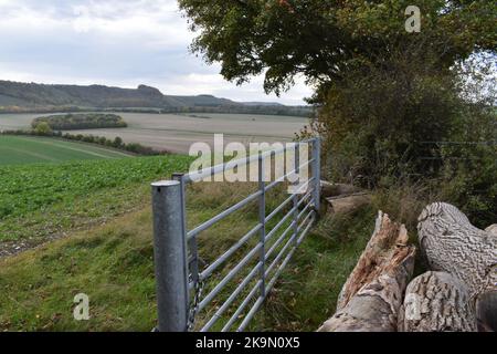 En regardant vers Ham Hill Wiltshire au-dessus de ferme fermée et des rondins avec le crabe Apple Tree en arrière-plan en dessous de Gallets près de Inkpen West Berks. Banque D'Images