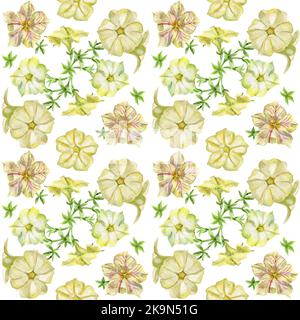 Motif sans couture avec fleurs pétunia, élément design. La composition florale peut être utilisée pour le mariage, la douche de bébé, le jour de la mère, les cartes de jour de Saint Valentin, inv Banque D'Images