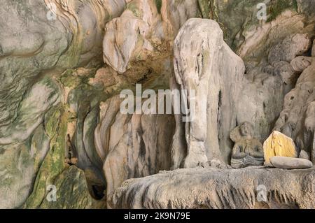 Détail de la formation rocheuse qui donne le nom à Elephant Cave ( Tham sang ) près de Vang Vieng - exploration des destinations exclusives de la RDP lao Banque D'Images