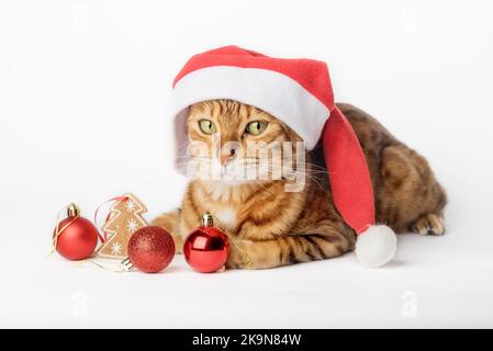 Chat de gingembre en chapeau de père Noël et décorations de Noël isolées sur fond. Concept Noël et nouvel an. Banque D'Images