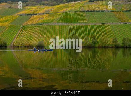 Piesport, Allemagne. 29th octobre 2022. Les gens se trouvent dans un bateau sur la Moselle, bordée de vignobles colorés. Credit: Harald Tittel/dpa/Alay Live News Banque D'Images