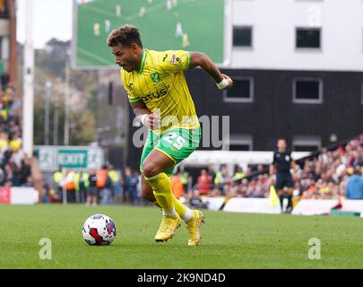 Norwich, Royaume-Uni. 29th octobre 2022. ONEL Hernandez de la ville de Norwich en action pendant le match de championnat de pari de ciel entre la ville de Norwich et Stoke City à Carrow Road sur 29 octobre 2022 à Norwich, Angleterre. (Photo par Mick Kearns/phcimages.com) crédit: Images de la SSP/Alamy Live News Banque D'Images