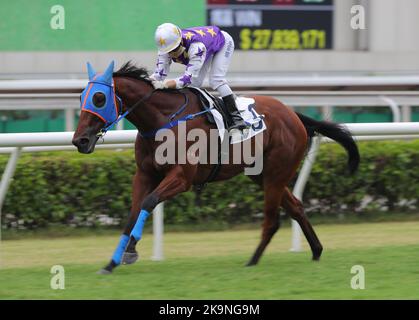 Race 4, UNTOLD RICHES(3), monté par Keith Yeung Ming-lun, a gagné la classe 4 sur 1200m à Sha Tin. 23OCT22 SCMP / Kenneth Chan. Banque D'Images