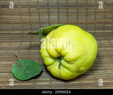 Coing mûr sur la table en gros plan. Fruits de forme inhabituelle. Un coing pourri laid. Fruit avec des feuilles. Forme inégale. Une alimentation saine. Ingrédient pour la confiture. Banque D'Images