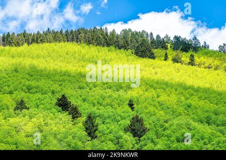 Parc national de Santa Fe montagnes Sangre de Cristo pic avec forêt de pins d'épinettes de peuplier faux-tremble vert en été avec ciel, nuages jetant l'ombre Banque D'Images
