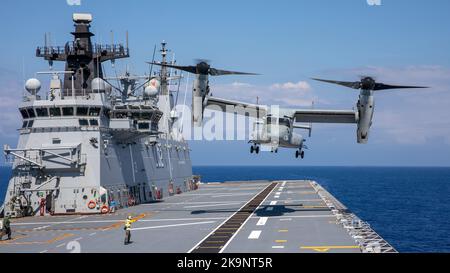 Un corps maritime américain MV-22B Osprey effectue des manœuvres d'atterrissage sur le pont à bord du navire-hélicoptère HMAS Canberra (L02) de la Royal Australian Navy. Banque D'Images