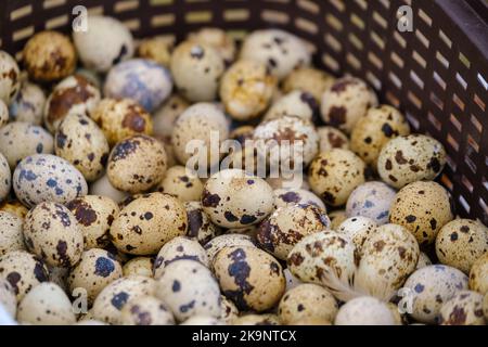 Œufs de caille dans le panier sur le marché Banque D'Images