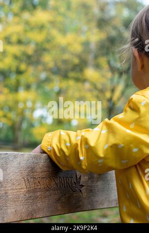 Enfants les enfants apprécient les couleurs automnales dans l'arboretum national de Westonbirt près de Tetbury à Gloucestershire, Royaume-Uni Banque D'Images