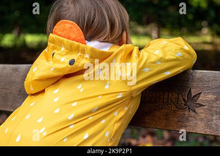 Enfants les enfants apprécient les couleurs automnales dans l'arboretum national de Westonbirt près de Tetbury à Gloucestershire, Royaume-Uni Banque D'Images