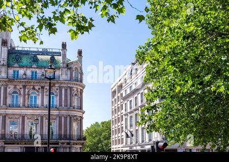 Londres, Royaume-Uni - 22 juin 2018: Vue de charpente des arbres verts feuillage sur la place Trafalgar, Cockspur rue avec Admiralty pub, hôtel sur le toit Banque D'Images